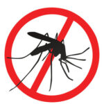 Por dengue murieron 62 personas y no 34 en 2023