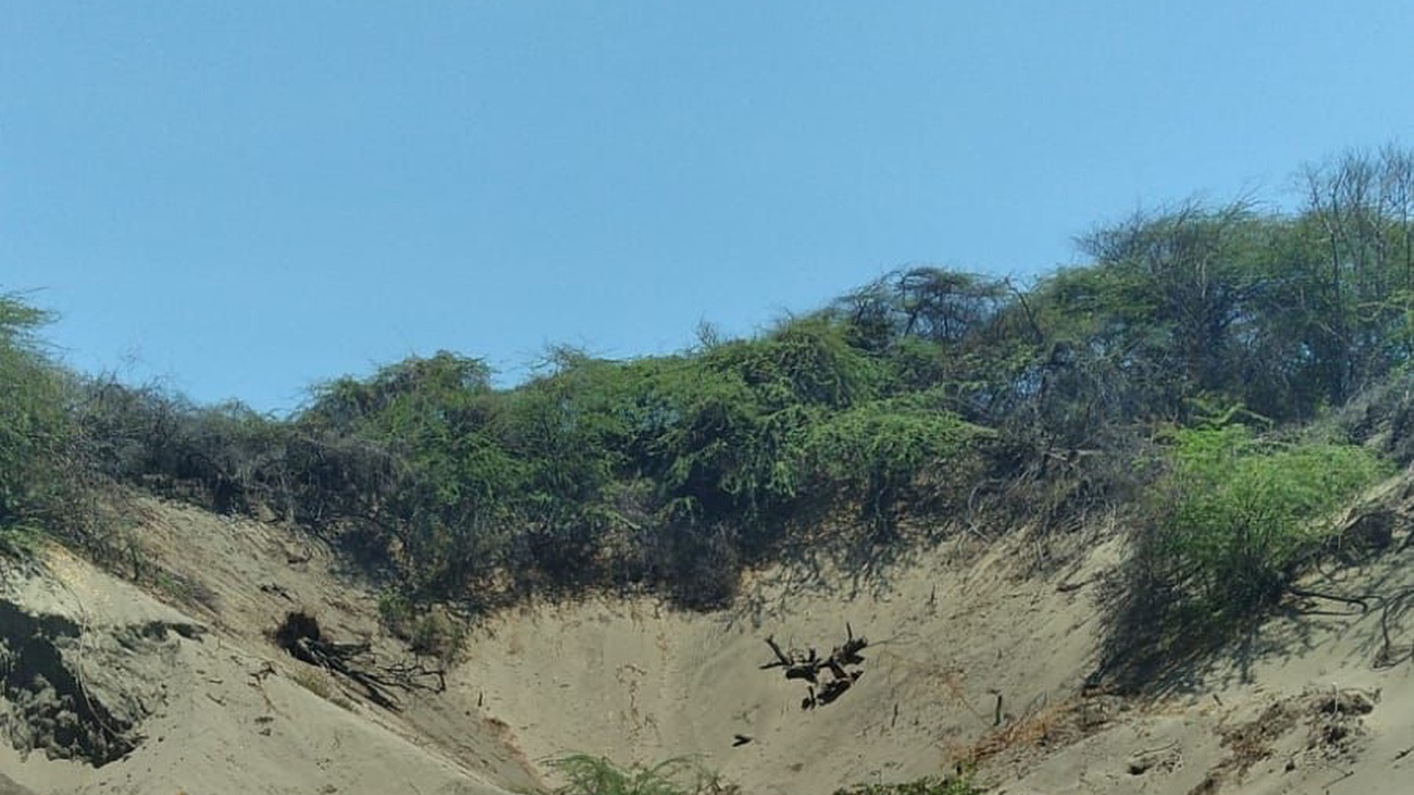 Gobierno dice terrenos con daño ambiental en Las Dunas están fuera de área protegida Gobierno dice terrenos con daño ambiental en Las Dunas están fuera de área protegida