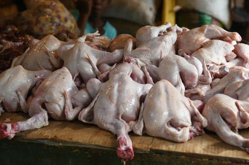 Pollo en mercados: precio sigue por encima de RD y la calidad es “inestable” Pollo en mercados: precio sigue por encima de RD y la calidad es “inestable”