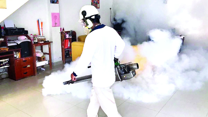 Salud Pública destaca que van tres semanas consecutivas sin casos de dengue
