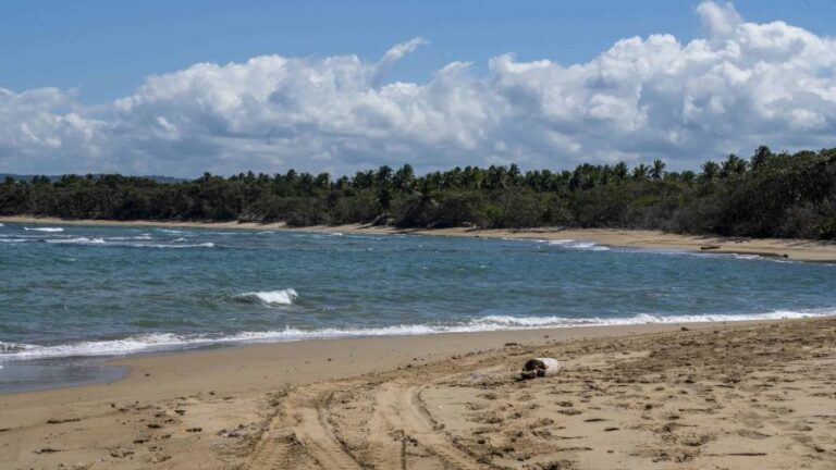 Darán picazo para la construcción del primer hotel en Punta Bergantín