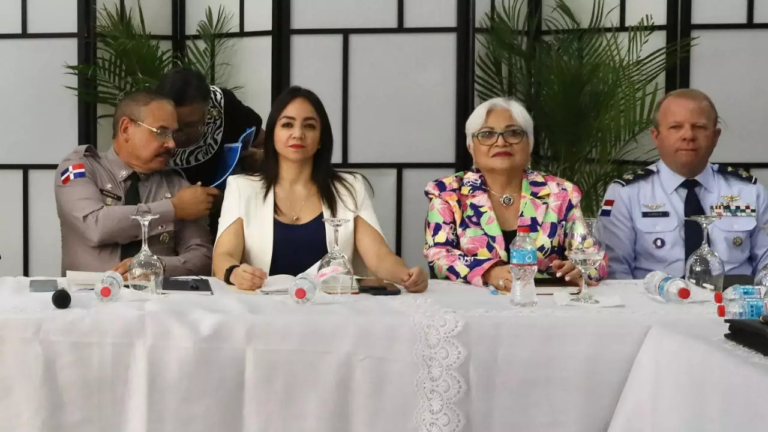 Faride Raful defiende operativos migratorios; dice 15 mil haitianos fueron repatriados