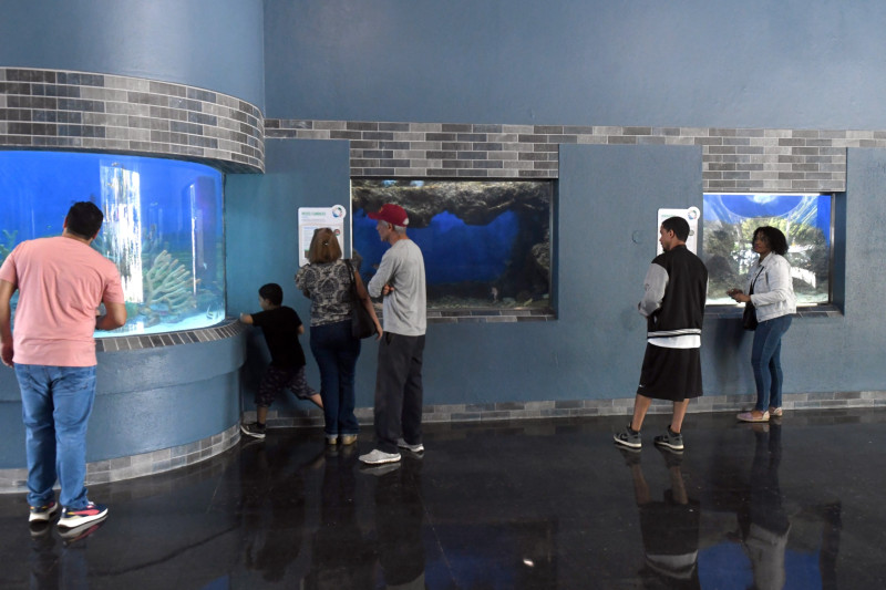 El Acuario Nacional reabre sus puertas tras un año en remodelación El Acuario Nacional reabre sus puertas tras un año en remodelación