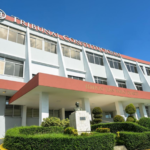Tribunal Constitucional declara inconstitucional Ley DNI