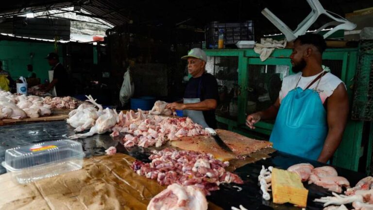 Los avicultores aseguran que habrá 24.5 millones de pollos y 300 millones de huevos para diciembre