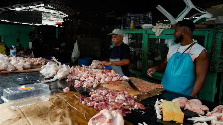 Los avicultores aseguran que habrá 24.5 millones de pollos y 300 millones de huevos para diciembre Los avicultores aseguran que habrá 24.5 millones de pollos y 300 millones de huevos para diciembre