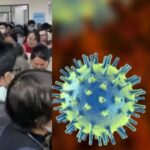 Virólogo no vislumbra amenaza inmediata de crisis sanitaria por nuevo virus