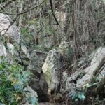 Medio Ambiente comprueba daños en las Cuevas del Pomier
