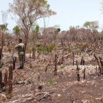 Ministro afirma que es crítica la situación medioambiental en el país