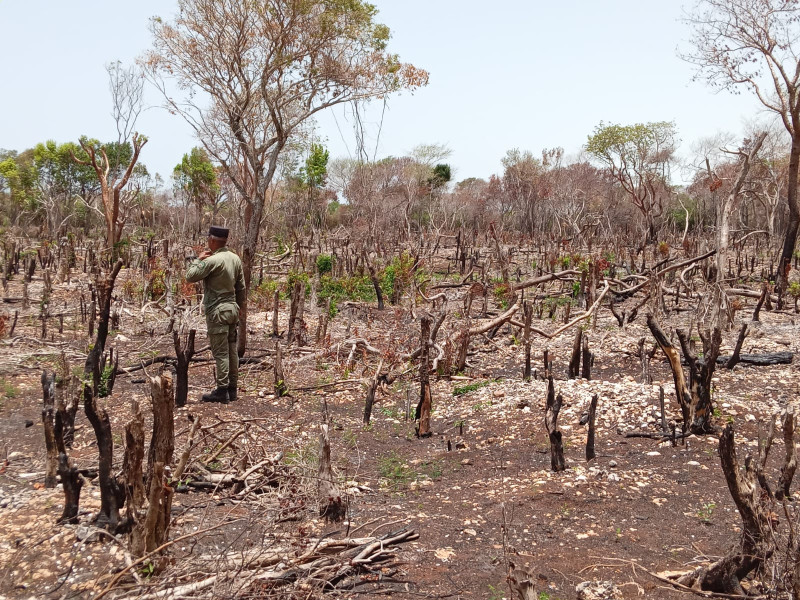 Ministro afirma que es crítica la situación medioambiental en el país