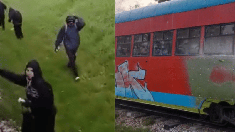 Ataque al Tren de la Sabana en Bogotá: Incidente genera tensión entre pasajeros