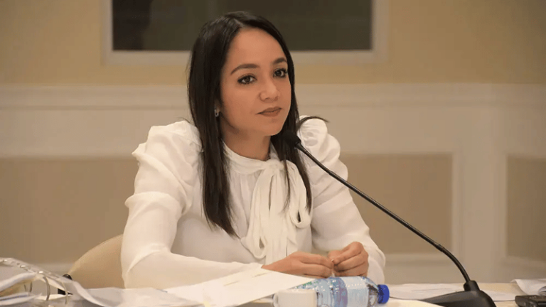 Faride Raful representará a República Dominicana en la firma de iniciativa contra el tráfico ilícito de armas ante la OEA