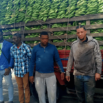 El Ejército de la República Dominicana detiene a dos hombres transportando nacionales haitianos indocumentados