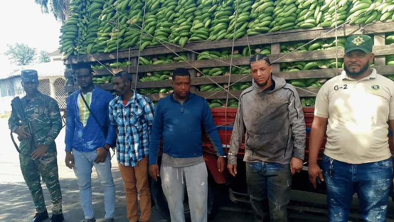 El Ejército de la República Dominicana detiene a dos hombres transportando nacionales haitianos indocumentados
