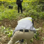 Hallan cadáver mutilado en una finca de San Francisco de Macorís