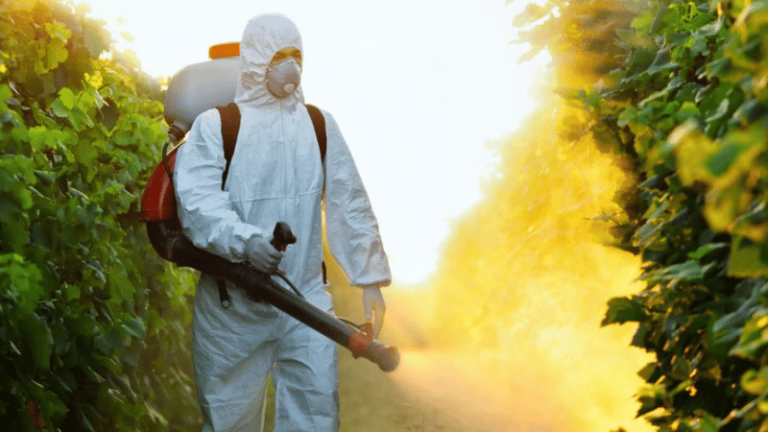 Dos hombres detenidos por fumigación en cercanías de un centro educativo en Cenoví