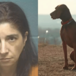 Mujer de Oklahoma arrestada por abuso sexual de un animal y distribución de material obsceno