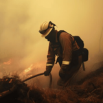 Bomberos luchan contra incendio forestal en San Pedro de Macorís