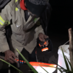 La pesca de anguilas: el negocio millonario que transforma los pueblos costeros del Este