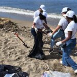 Dominicana de Seguros lidera jornada de limpieza en la playa Montesinos con enfoque en sostenibilidad