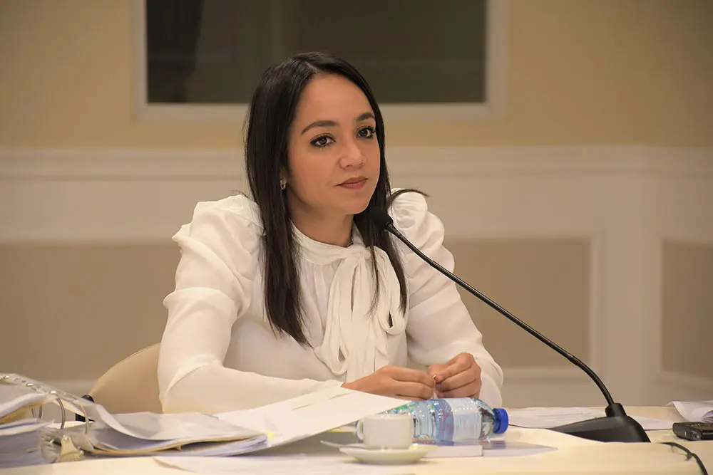 Faride Raful tomará acciones legales por campaña «Sucia» en su contra
