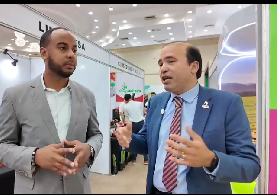 Los productos con mayor potencial de exportación según experto en tratados agrícolas Los productos con mayor potencial de exportación según experto en tratados agrícolas