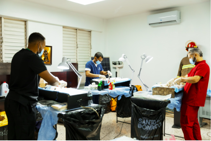 Alcaldía del Distrito Nacional continúa jornada de bienestar para perros y gatos