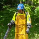 Prevención de áreas verdes ante temporada ciclónica protege infraestructuras