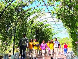 🚨 ¡ALERTA URGENTE! NO MATEN EL JARDÍN BOTÁNICO: EL PULMÓN QUE SOSTIENE NUESTRA ESPERANZA 🚨