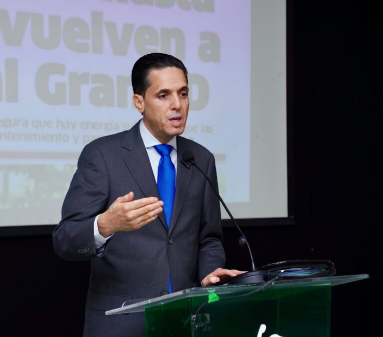 Fuerza del Pueblo exige declarar en emergencia el sector eléctrico y plantea reducción de pérdidas en las EDES