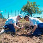 Grupo Popular siembra 3,500 árboles en municipio Santiago
