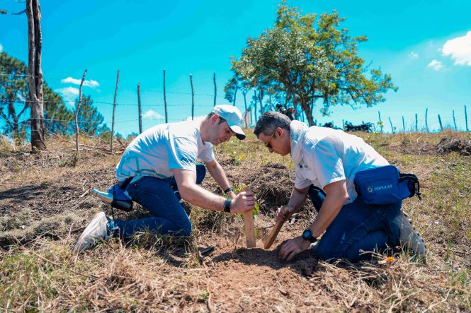 Grupo Popular siembra 3,500 árboles en municipio Santiago