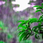 Se esperan aguaceros con tormentas eléctricas y ráfagas de viento