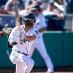 Tigres del Licey contratan al cubano Víctor Labrada