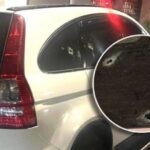 CHILE: Detienen dominicano conducía vehículo presentaba impactos de bala