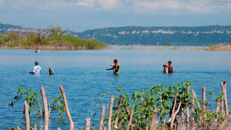Denuncian crimen ecológico en Laguna de Rincón