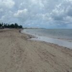 Disminuye llegada de sargazo a playas del este de R.Dominicana