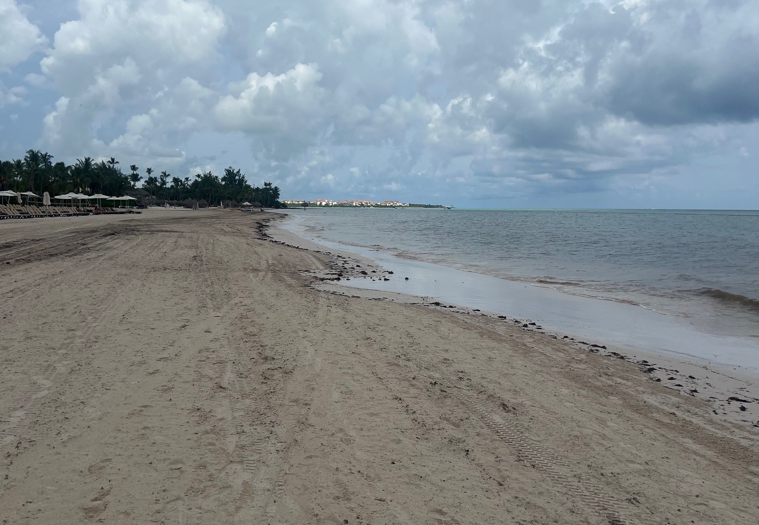 Disminuye llegada de sargazo a playas del este de R.Dominicana