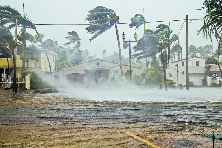 MEXICO: Ascienden a 37 los fallecidos por intensas lluvias MEXICO: Ascienden a 37 los fallecidos por intensas lluvias