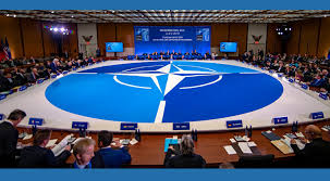 OTAN pone en marcha medidas contra drones en su flanco este