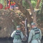 SENPA investiga muerte peces en ríos Matúa e Higüero