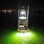 Cap Cana impone un récord de mayor liberación al marlin azul
