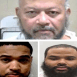 EU: Tres dominicanos entre 15 criminales arrestados por ICE