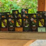 Haití participará en la expo Salón de Chocolate de Montreal