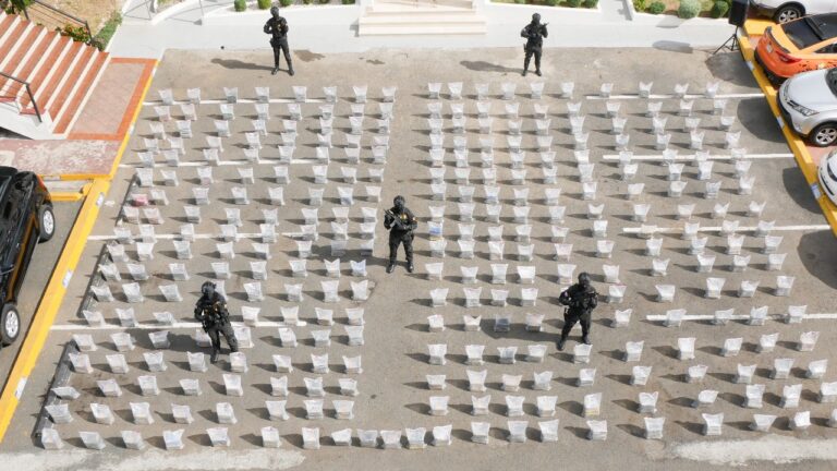 En año 2025 fueron ocupados 48,335 kilos de drogas en la RD