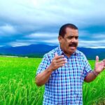 PLD culpa Ministerio Agricultura del aumento del precio del pollo