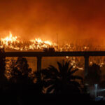 CHILE: Los incendios forestales dejan ya 19 personas muertas