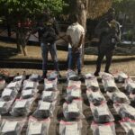 DNCD ocupa más de 200 libras marihuana y arresta 2 hombres
