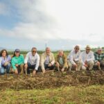 INTABACO y la Universidad ISA inician formación cultivo tabaco