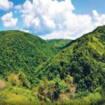 Multa de 60 millones de pesos a empresa por daño ambiental